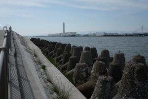 堺浜　海とふれあいの広場